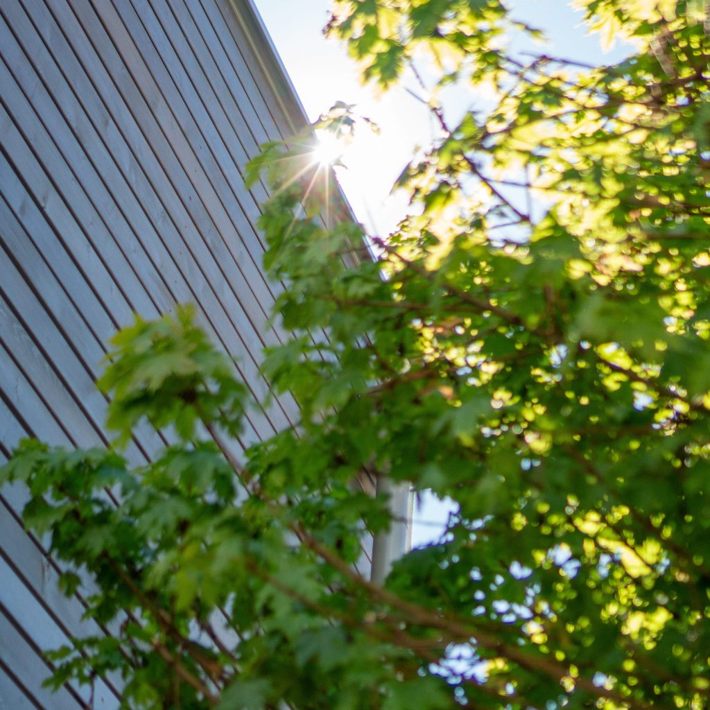 DSC00601-aspect-ratio-1-1